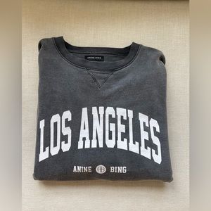Anine bing sweatshirt